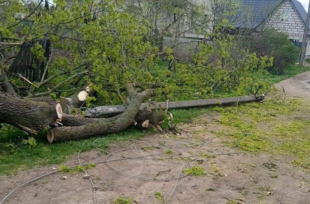 Папернянский, Крупицкий, Боровлянский сельсоветы больше всего пострадали от стихии 12 мая