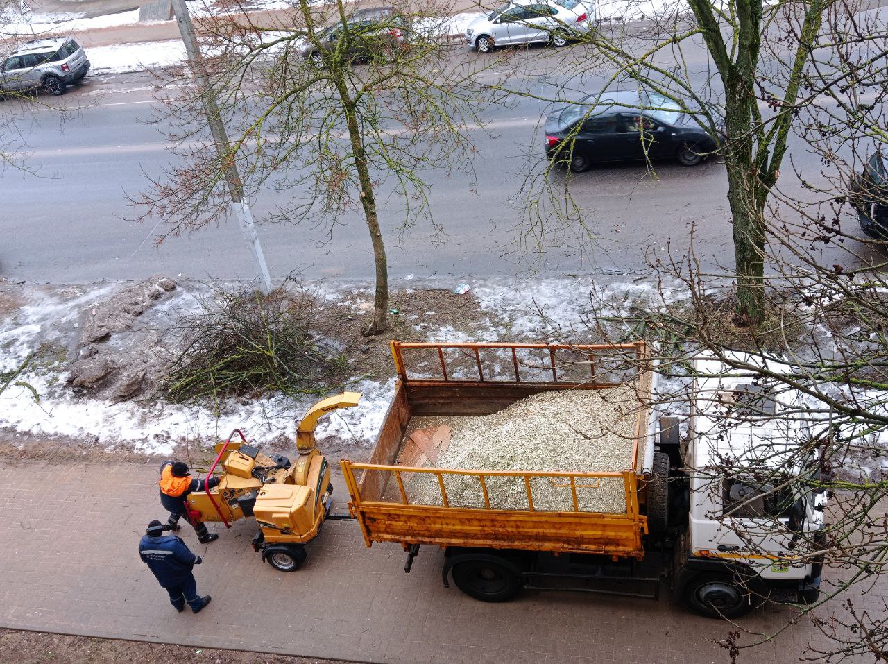 В Заславле продолжается санитарная обрезка деревьев - Пристоличье