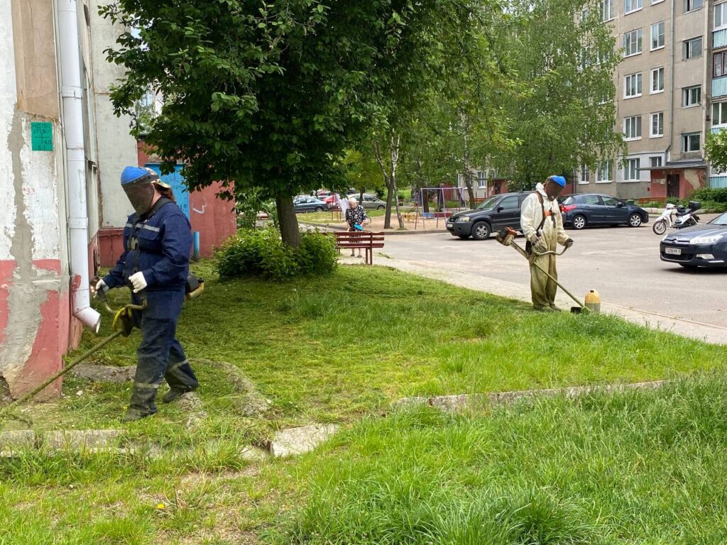 В какое время можно косить траву рассказали в Жилищнике Минщины -  Пристоличье