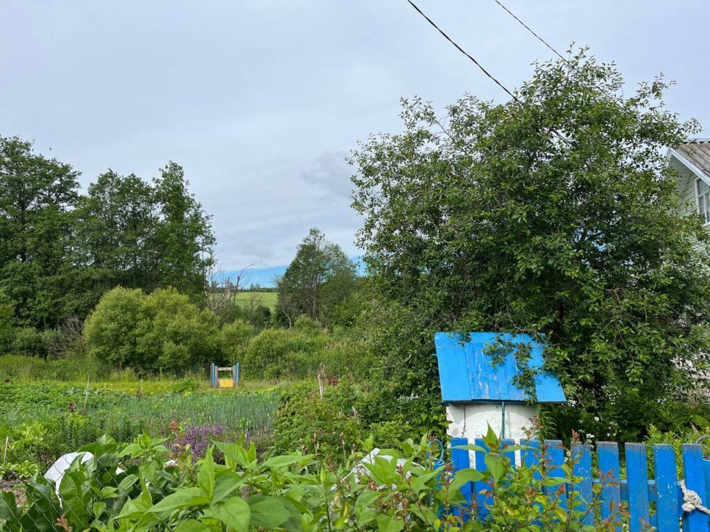 В Заславле появилась стоянка для зарядки электромобилей - Пристоличье