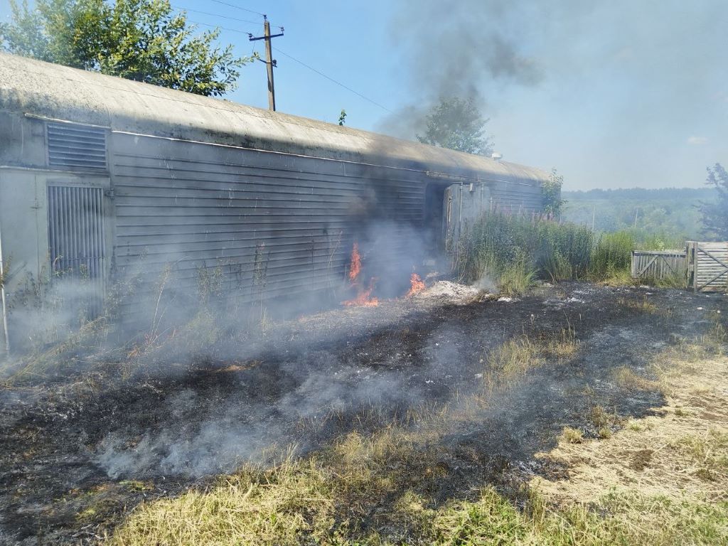 В Минском районе пенсионерка устроила пожар на даче - Пристоличье