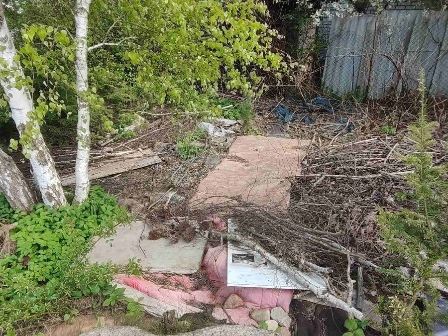 Что делать, если вы страдаете из-за беспорядка на соседском участке
