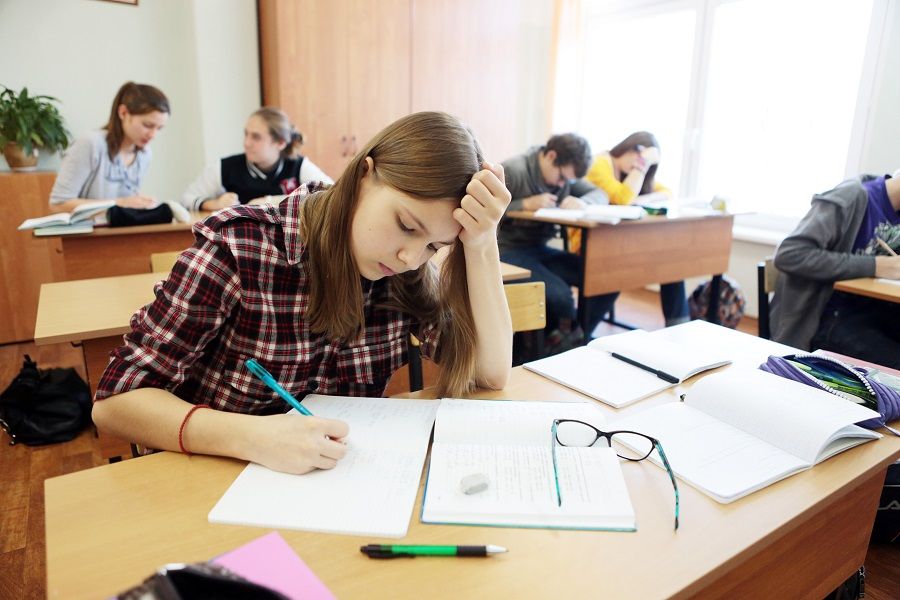 Сколько выпускников будут проходить вступительные испытания в Минском районе?