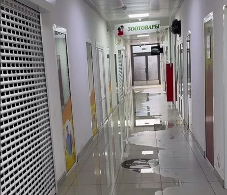 В Заславле подтапливает торговый центр «Студенецкий». Как будут решать проблему?