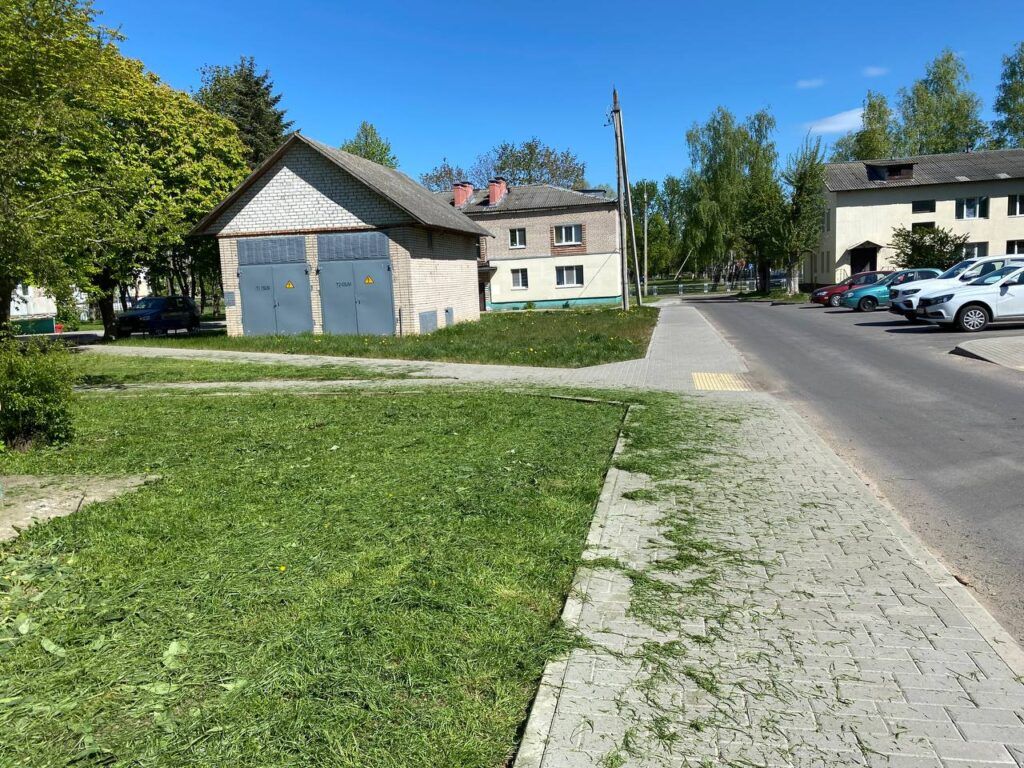 В Папернянском сельсовете приступили к покосу травы