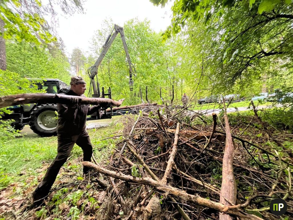 Более 200 человек благоустраивали Соколиный заказник в Мачулищах