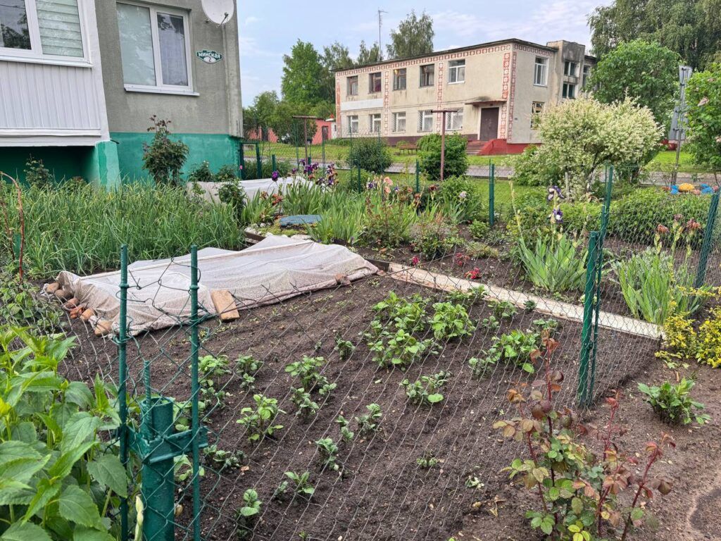 Огороды среди многоэтажек: как жители Лесковки выращивают урожай под балконами?
