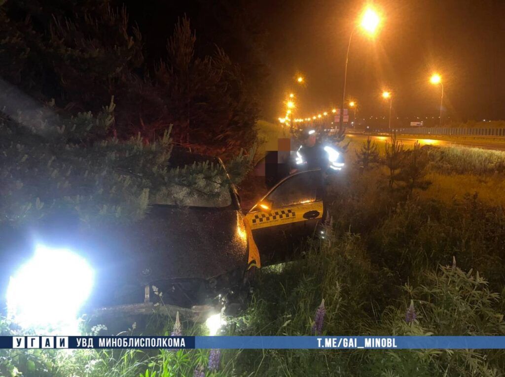 Не учла погоду и не пристегнулась: под Минском водитель BMW въехала в дерево