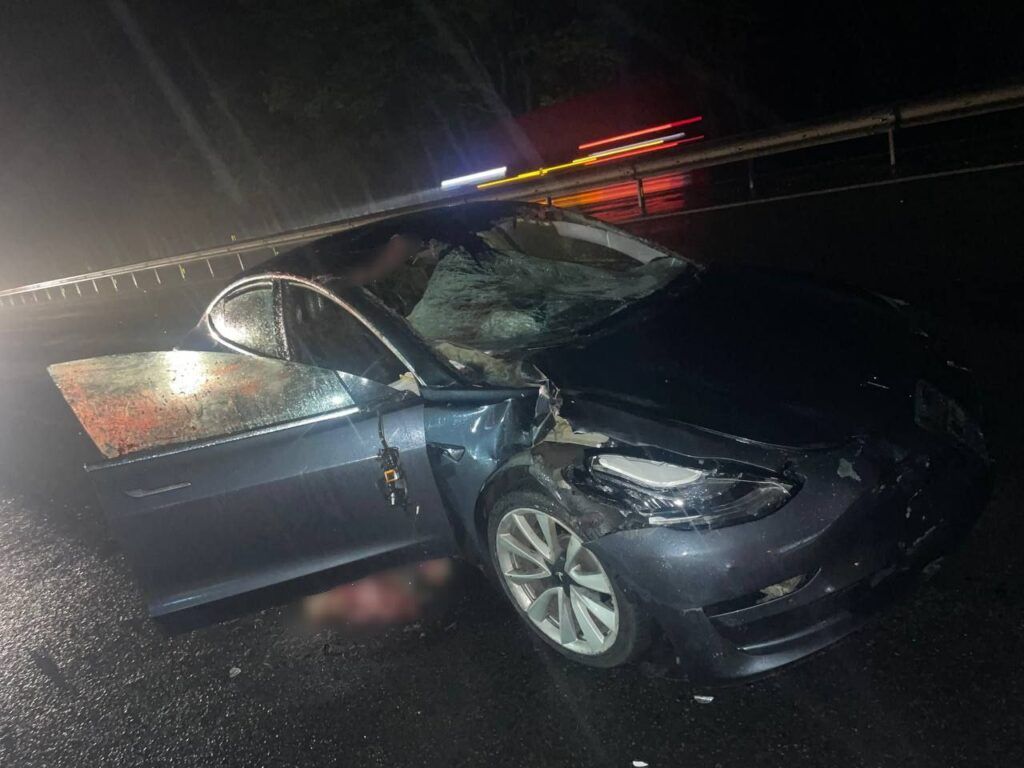 В Минском районе Tesla столкнулась с тремя лосями