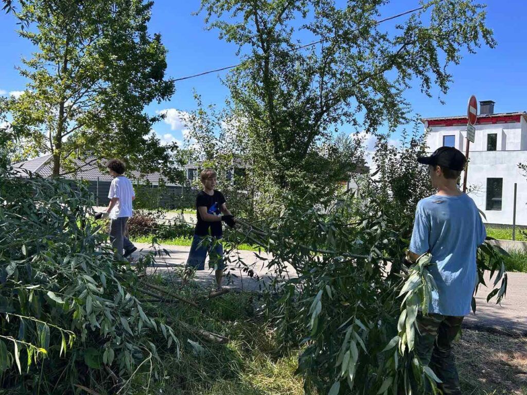 В деревне Светлый Путь очистили берег озера