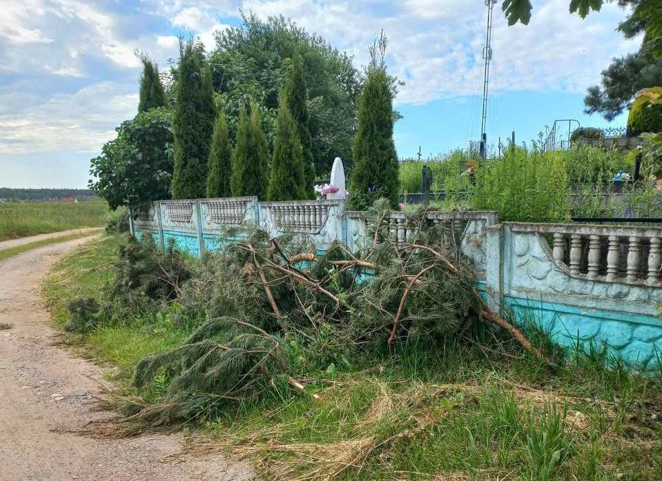 Жители заказывают работу, а отходы «подкидывают» ЖКХ. Почему на кладбище в Заболотье скапливается мусор