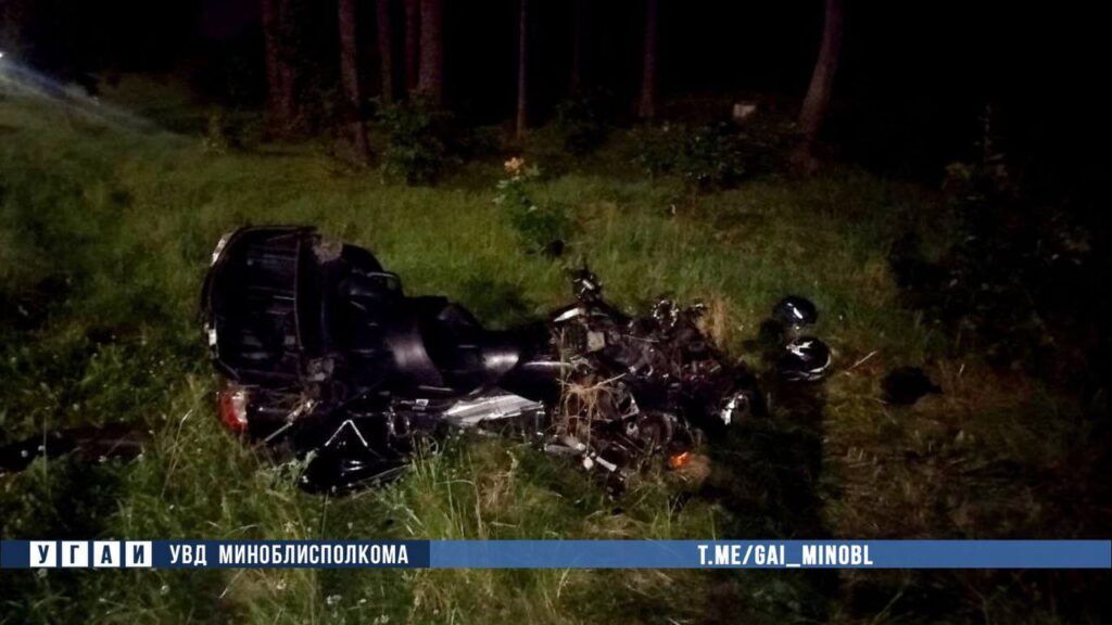 В Минском районе мотоциклист погиб при столкновении с лосем