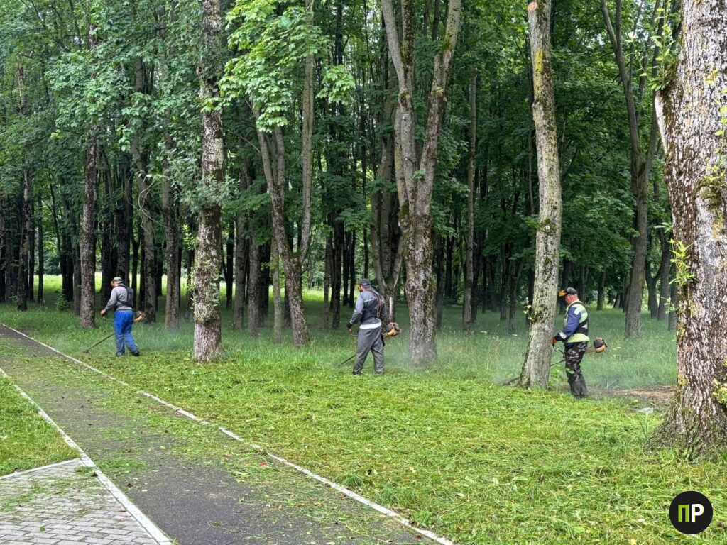 Где в Михановичском сельсовете косят траву