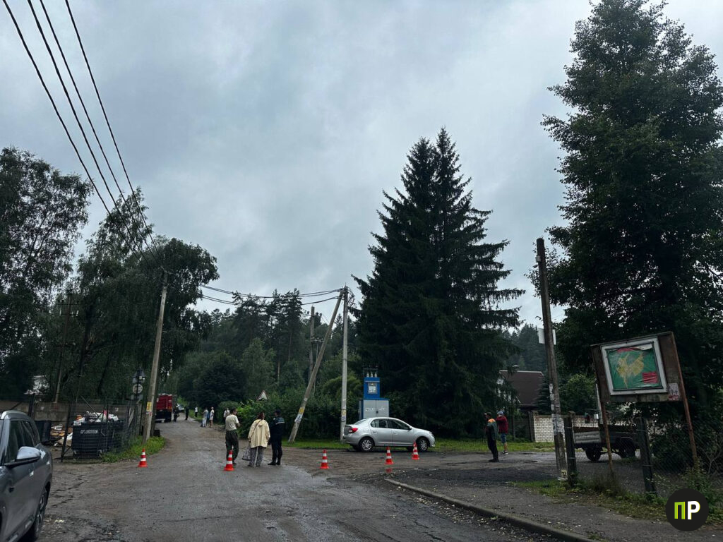 СТ «Трактор» осталось без электроэнергии. Какие потери понесло товарищество этой ночью