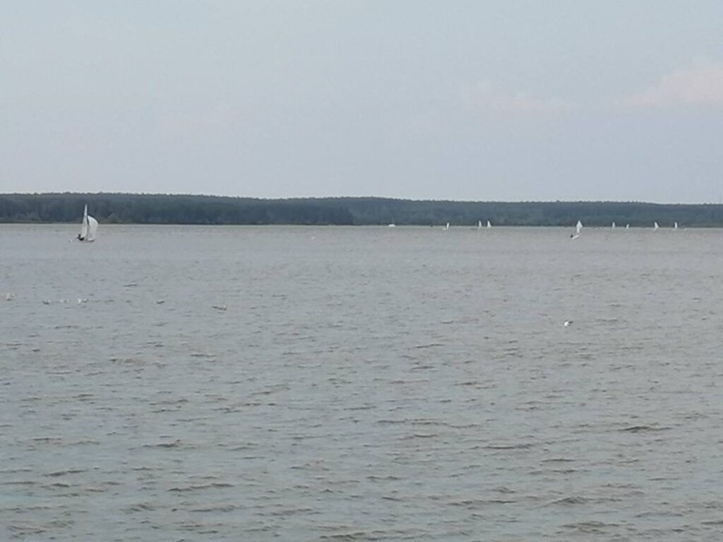 В Минском районе спасли девушку – она упала с сапборда в Заславском водохранилище
