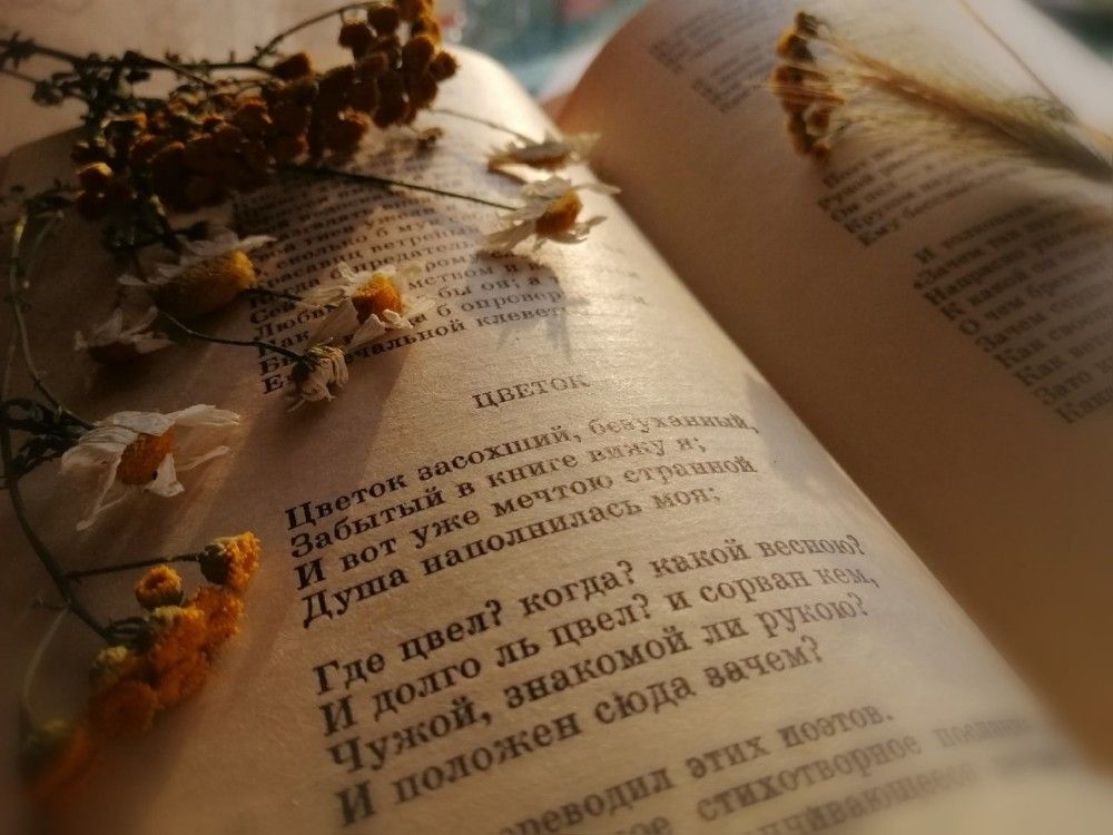 От строк до души: как поэтический клуб в Михановичах объединил поколения
