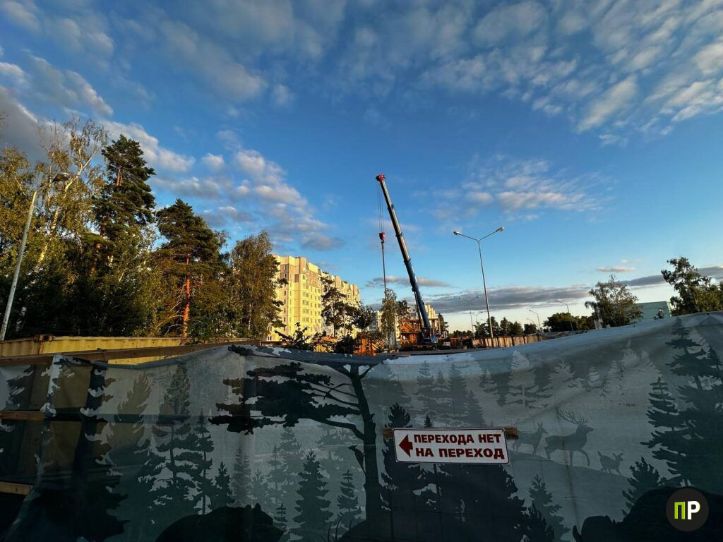 «Потеряем шарм»: жители агрогородка Лесной против масштабной стройки у своих домов
