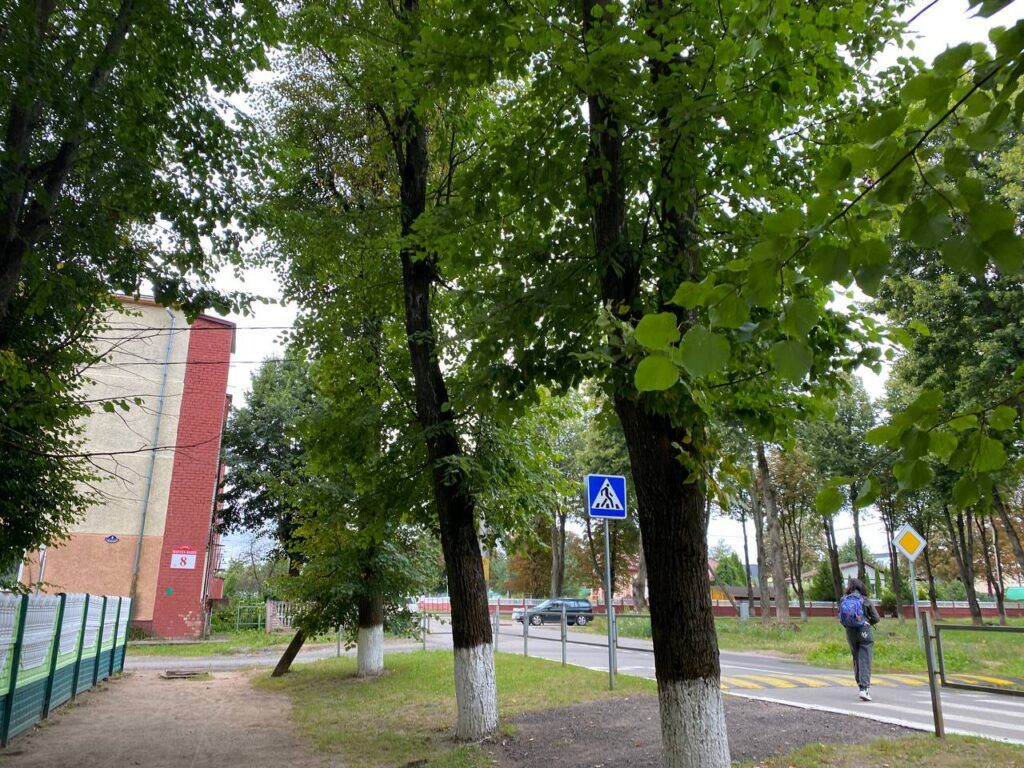 В Луговой Слободе проводят обрезку деревьев