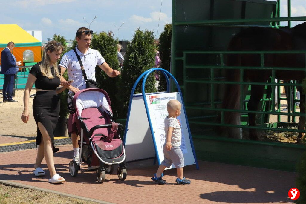 Право обмена на акции: как обойтись с чеками «Имущество»