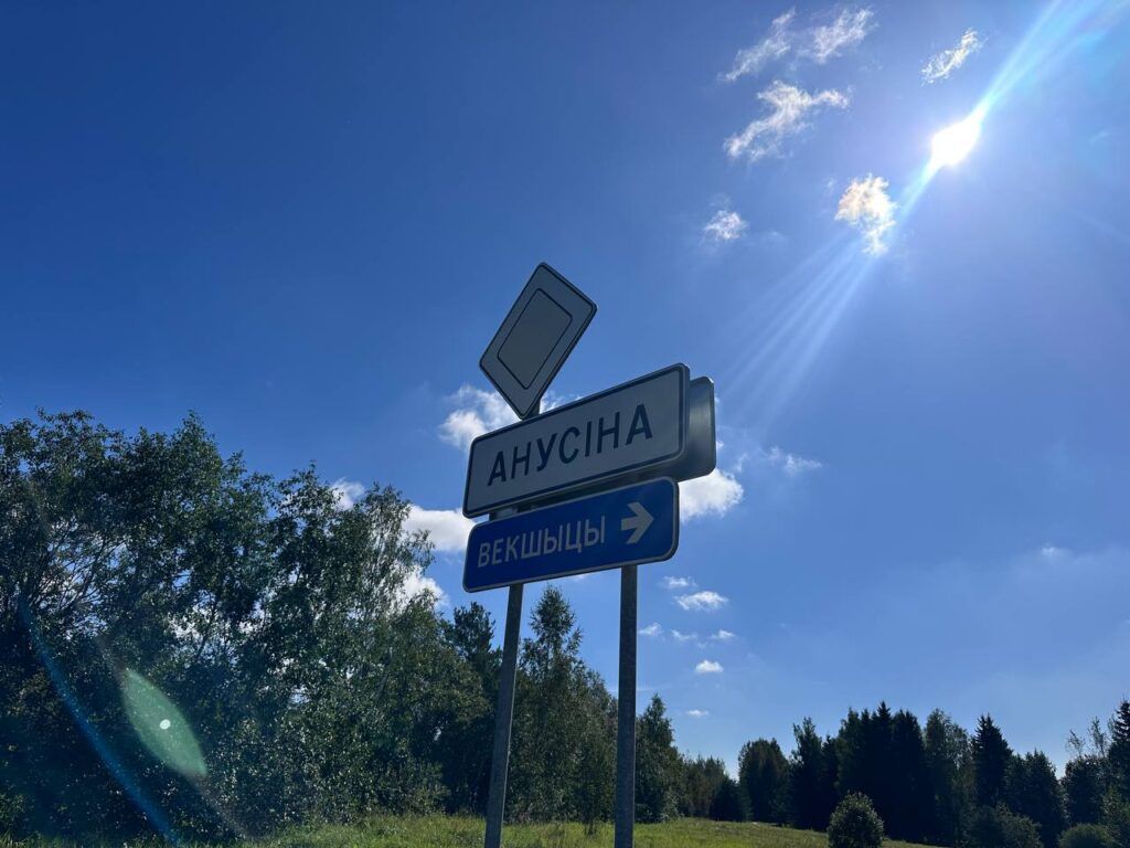Анусино
