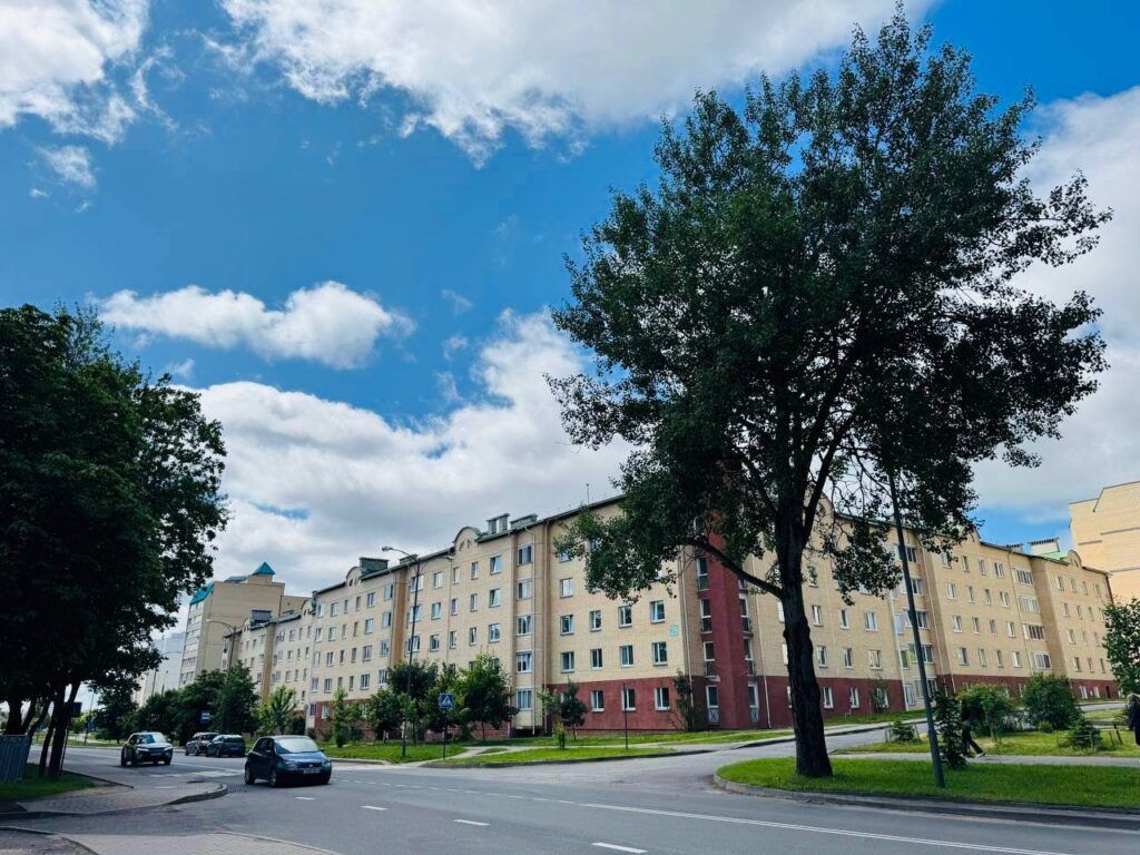 Как в Лесном отпразднуют 65-летие агрогородка