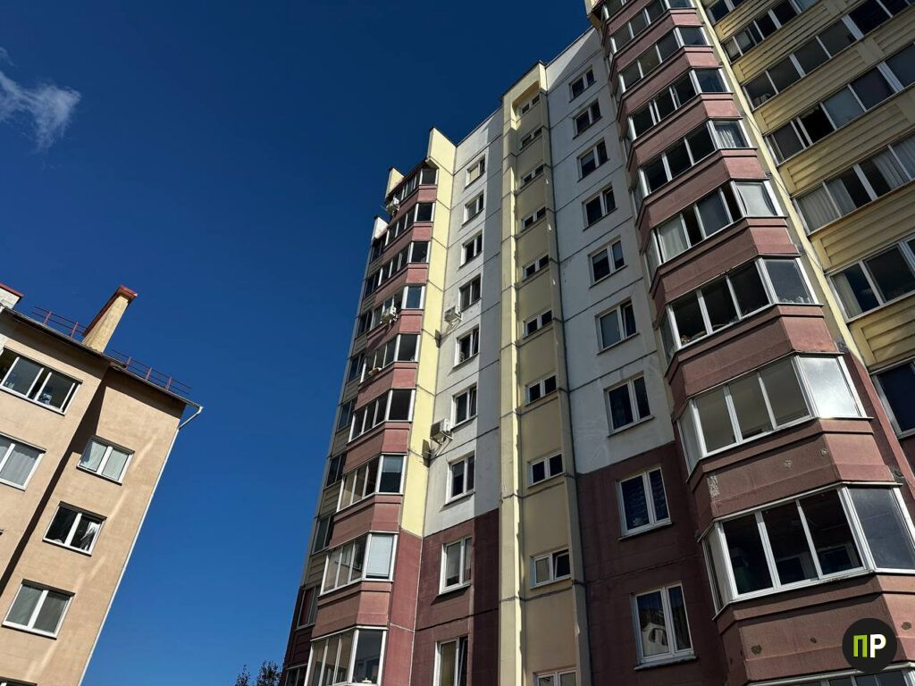 Крысиный король Заславля: жильцы дома бьют тревогу из-за 200 грызунов в соседней квартире