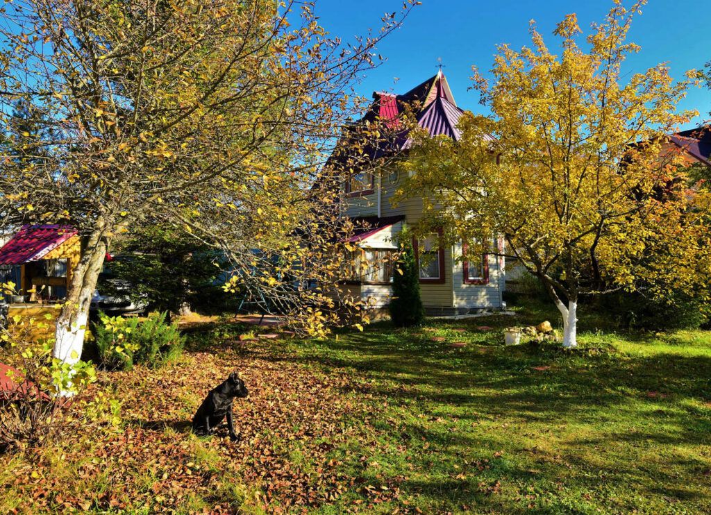 От 25 000 BYN. Какие земельные участки продаются в Минском районе