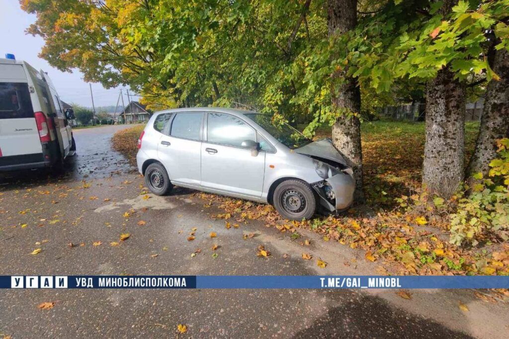 В деревне Мацки водитель отвлекся от дороги и врезался в дерево