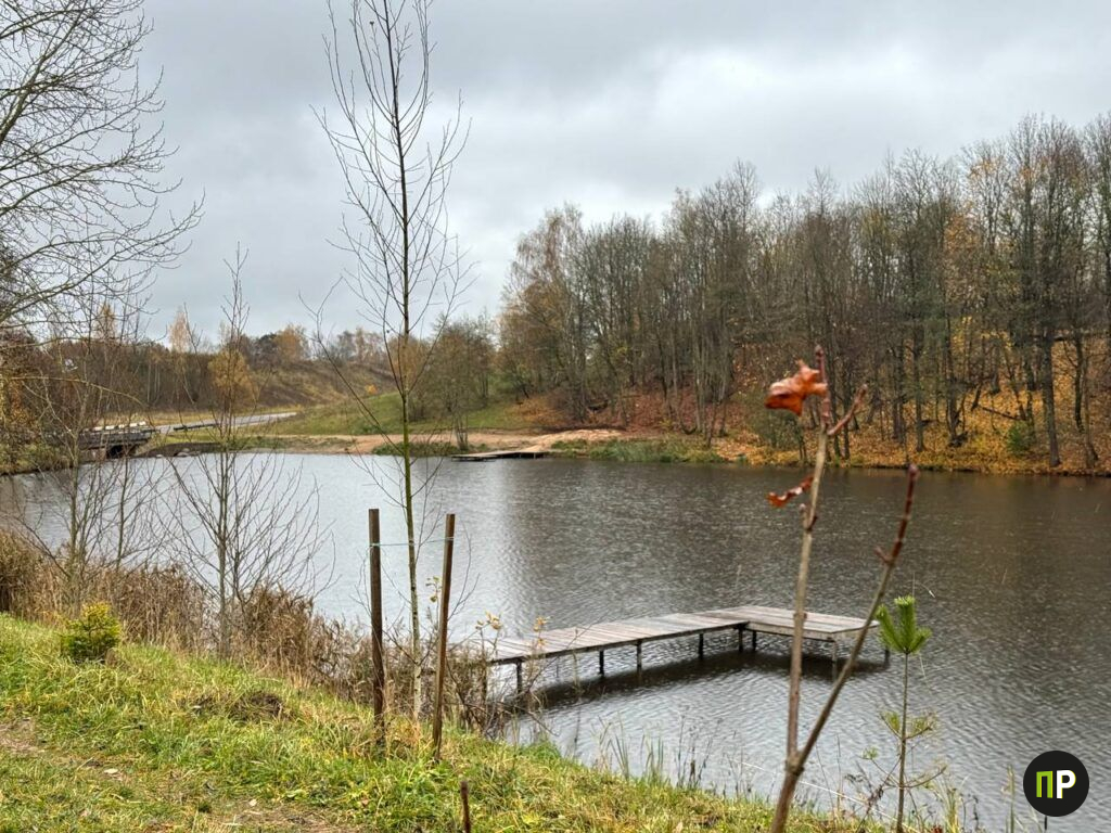 Жители Чачково высадили сотни деревьев вокруг озера