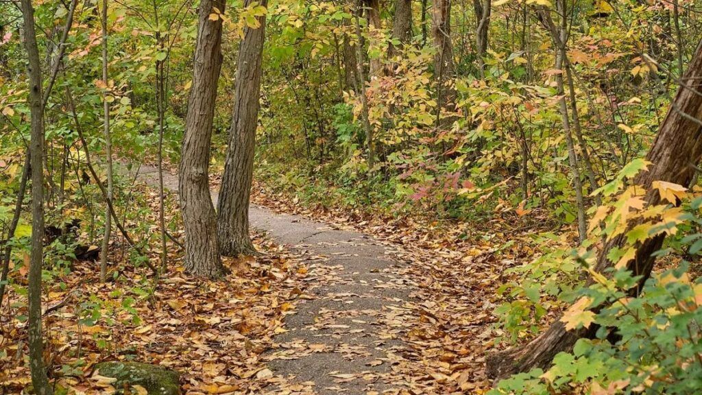 В Юзуфовском сельсовете нашли места хранения наркотиков