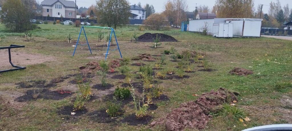 Детская площадка в Новашино стала уютнее после озеленения