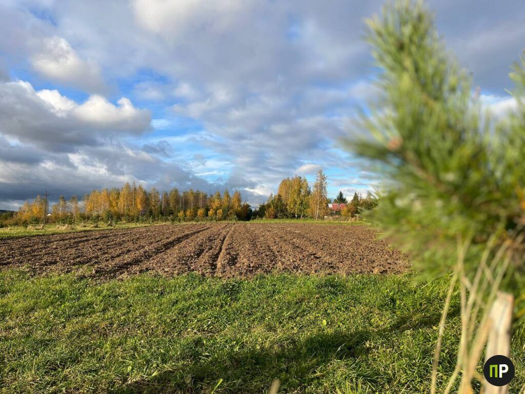 Спор за землю: фермер и жители Городища не могут поделить участок