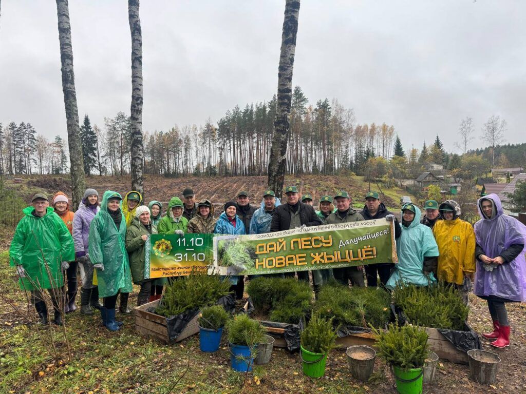Более 5600 саженцев дали жизнь новому лесу в Колодищах