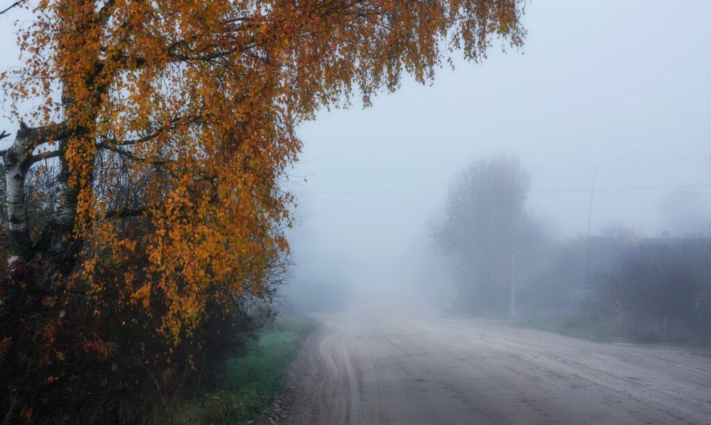Погода в Беларуси будет меняться всю неделю — Белгидромет