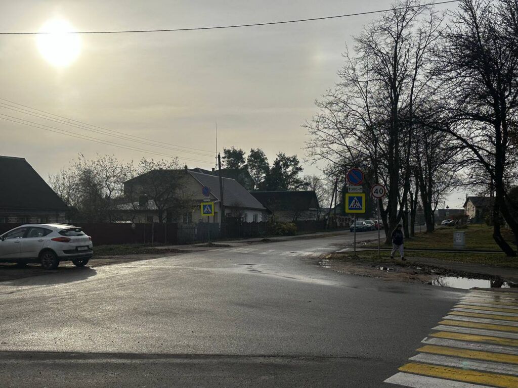 Как пенсионерка кошмарит деревню под Минском с помощью TikTok