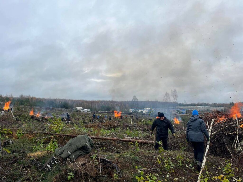 В Колодищах трудились более 100 человек на территории, пострадавшей от урагана