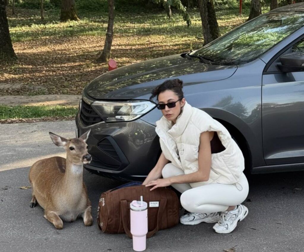 Пользователей Threads покорили олени на Минском море. Оказалось, это работа ИИ