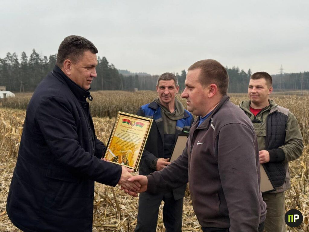 Уборка кукурузы: кто первым намолотил 5000 тонн в Минском районе