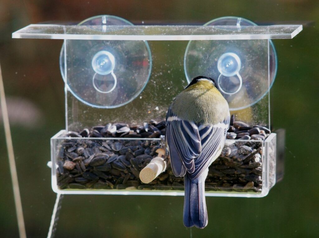 Повесить кормушку за окном обойдется в 840 рублей. Разобрались, почему