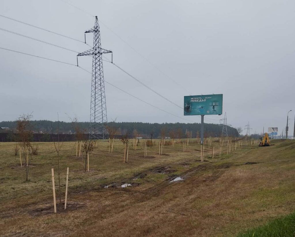 Более 1,5 тысяч деревьев высадили в Ждановичском сельсовете