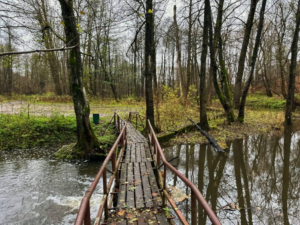 Тайна Криничной улицы: нашли святой родник в Чачково