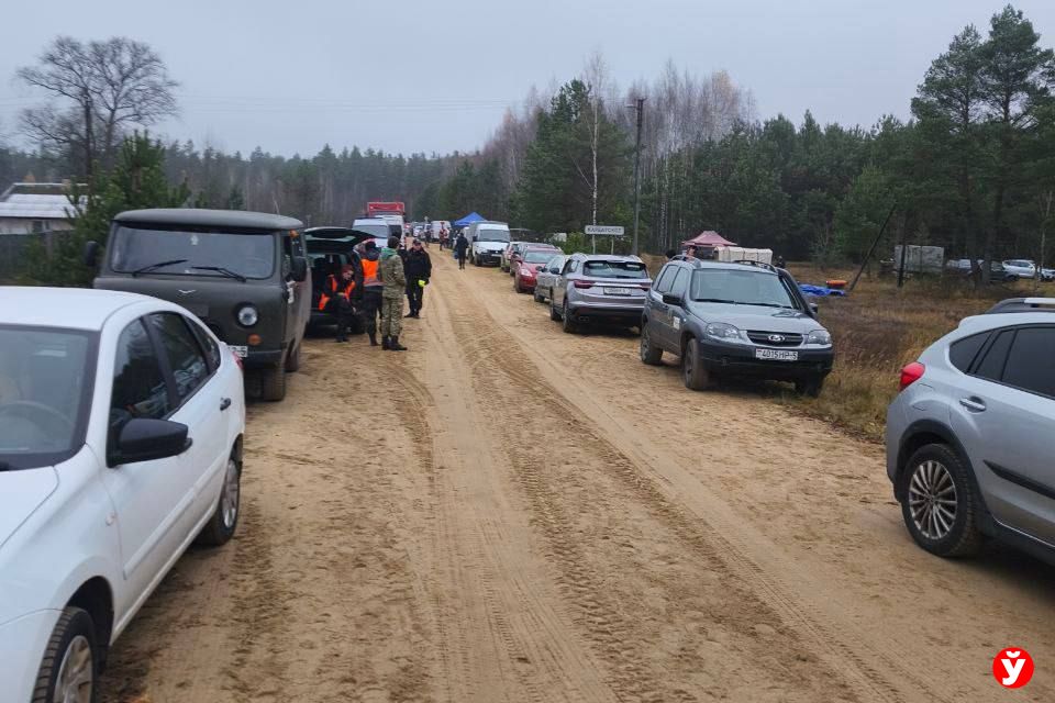 Как присоединиться к поискам пропавшего подростка в Березинском районе