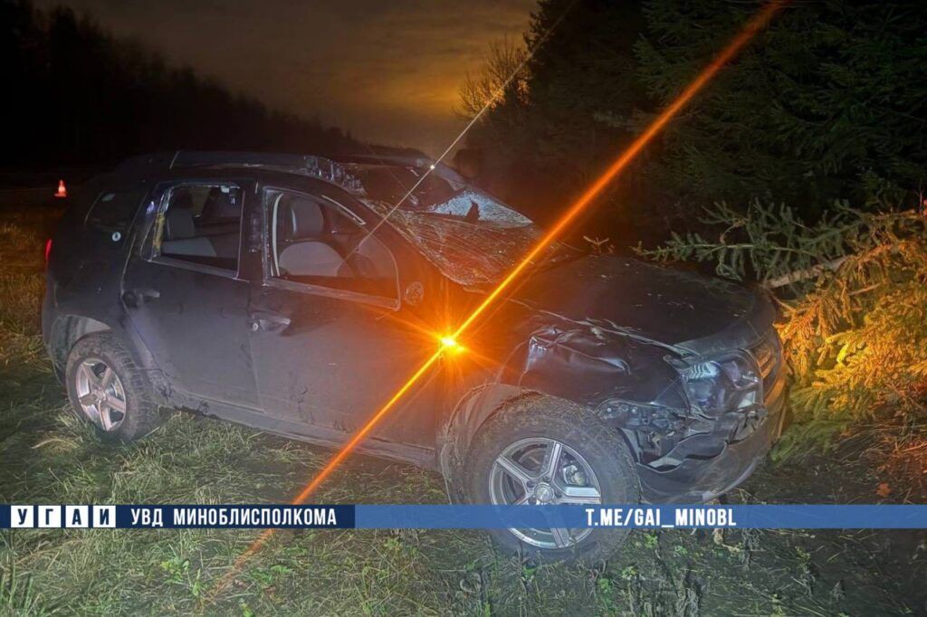 В Минском районе на М-1 автомобиль сбил лося, есть пострадавшие