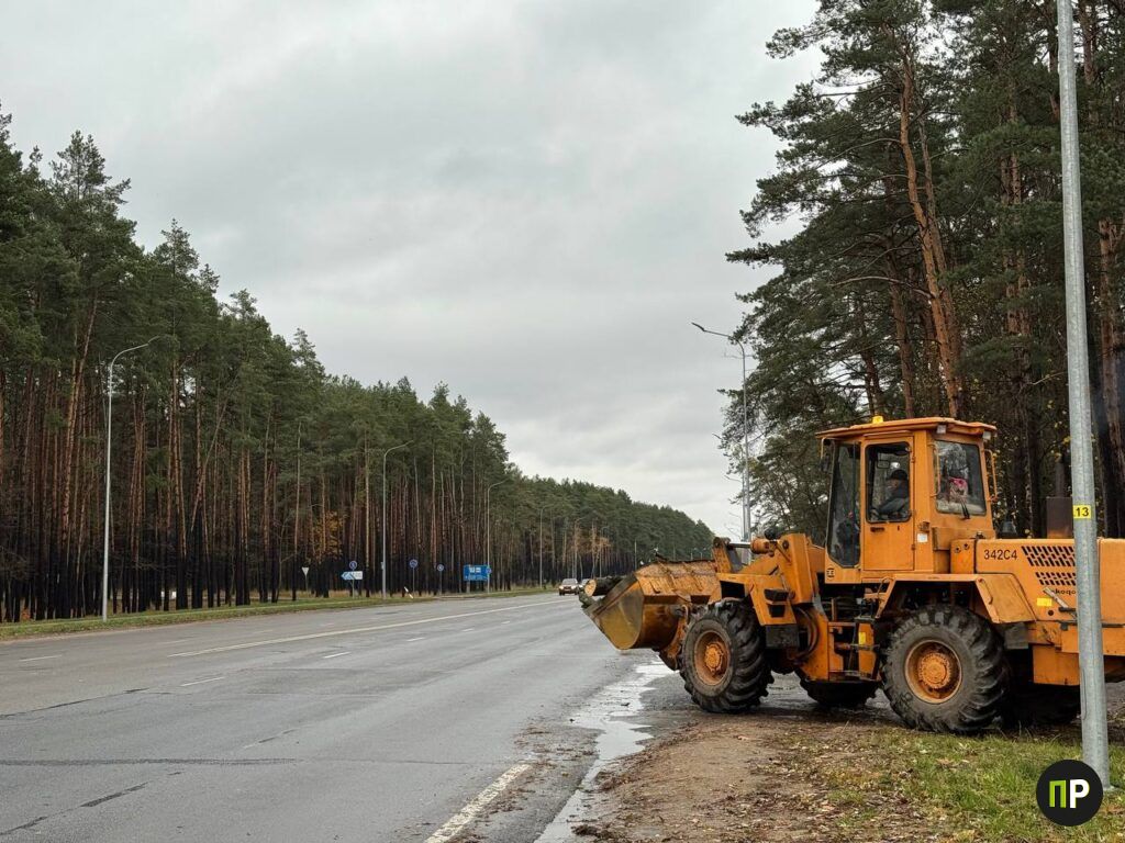 Новая велодорожка свяжет Ждановичи и «Лебяжий»
