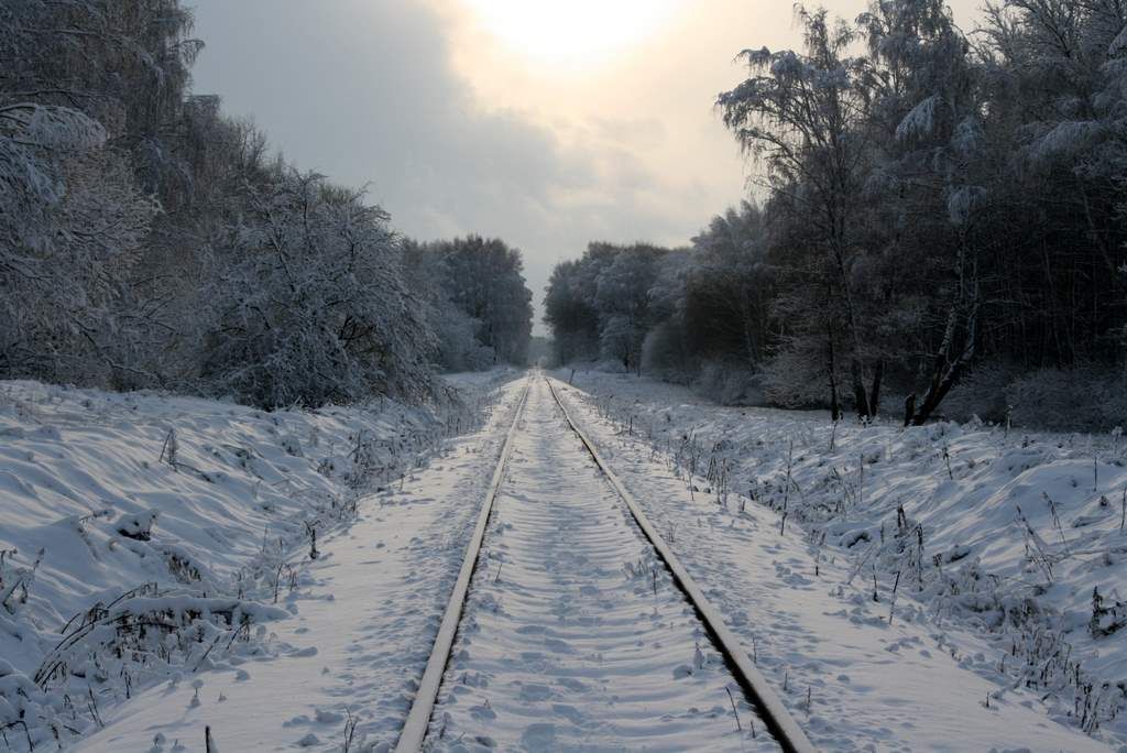 Новогодние поезда из Минска в Беловежскую пущу запустит Белорусская железная дорога