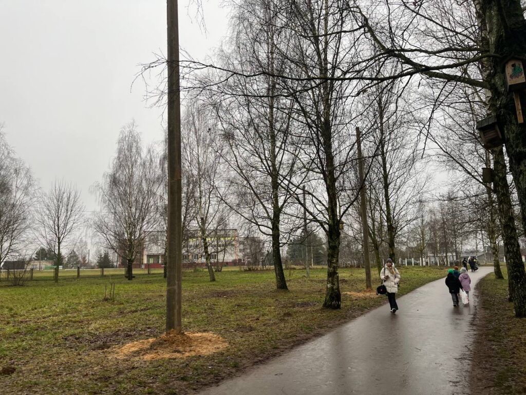 В парке Михановичей становится светлее: идут работы по монтажу фонарей