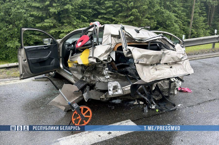 Суд назначил 10 лет колонии водителю, из-за которого под Минском погибла семья