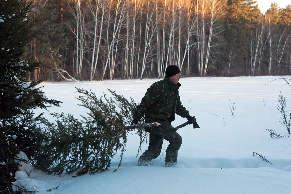 В Беларуси усилят контроль за лесами перед Новым годом для защиты от браконьеров