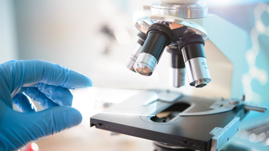 Опасные инфекции в Минском районе искали эпидемиологи — к какому выводу пришли