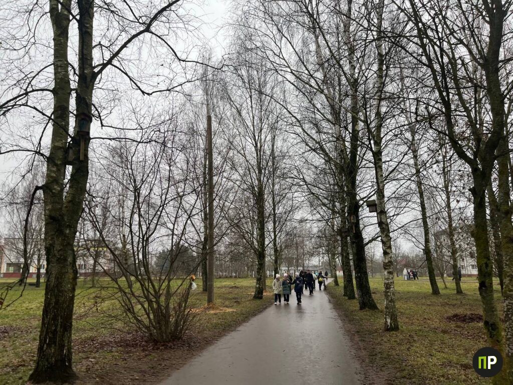 Парк в Михановичах станет светлее — там делают освещение